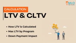 18. Loan-To-Value (LTV) & Combined Loan-To-Value